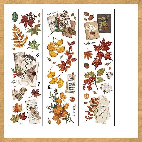 6Pcs 3 Styles PET Stickers