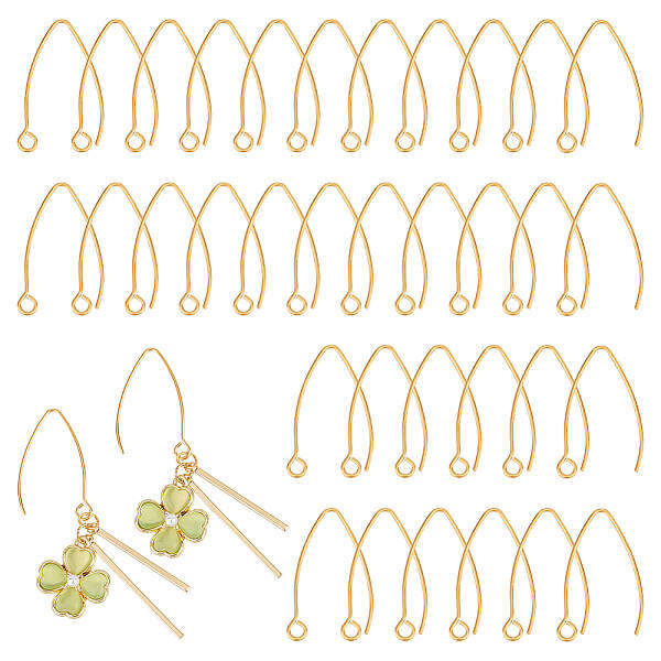 50Pcs Ion Plating(IP) 304 Stainless Steel Earring Hooks