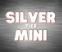 BS Collectibles Silver Mini! Pick Your Division