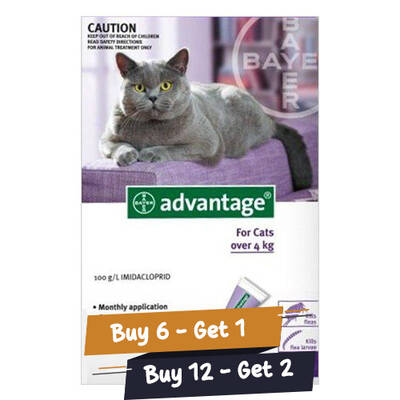 Advantage Cats Over 10lbs (Purple) 6 Doses + 1 Free