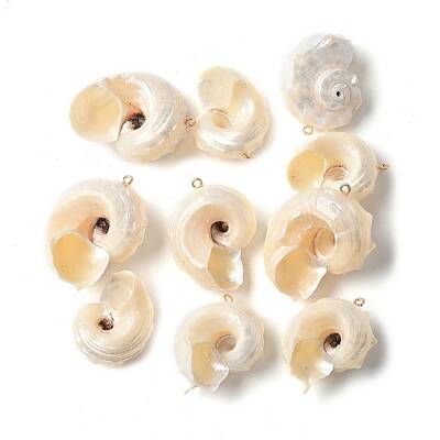 Natural Sea Shell Pendants