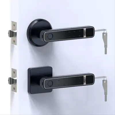 Fingerprint Smart Lock, Keyless Entry Handle Lock, Fingerprint Electric Door Lock, Easy To Install Smart Door Locks for Home...