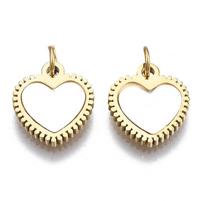 316 Surgical Stainless Steel Charms