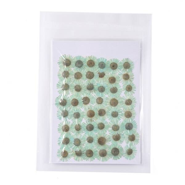 Centaurea Iberica Embossing Dried Flower