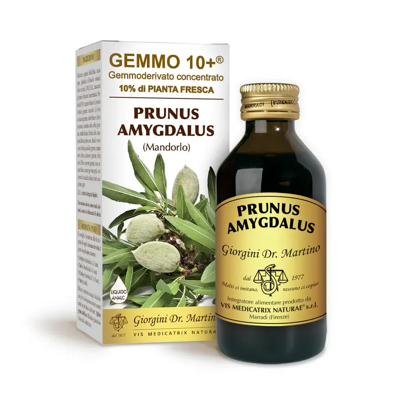 Dr Giorgini gemmo 10+ almond 100 ml non-alcoholic liquid