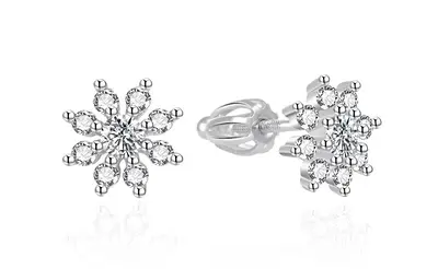 Agato Sparkling Silver Earrings with Zirconia AGT-E071SW