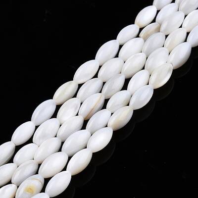 Natural Freshwater Shell Beads Strands