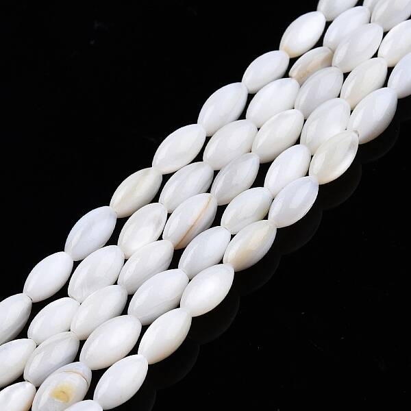 Natural Freshwater Shell Beads Strands