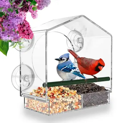 Clear Window Design Bird Feeder, Plastic Bird Food Tray with 4 Strong Suction Cups, Bird Feeding Tool for Outside