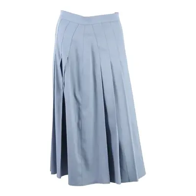 Womens Pleated Skirt Blue Long S