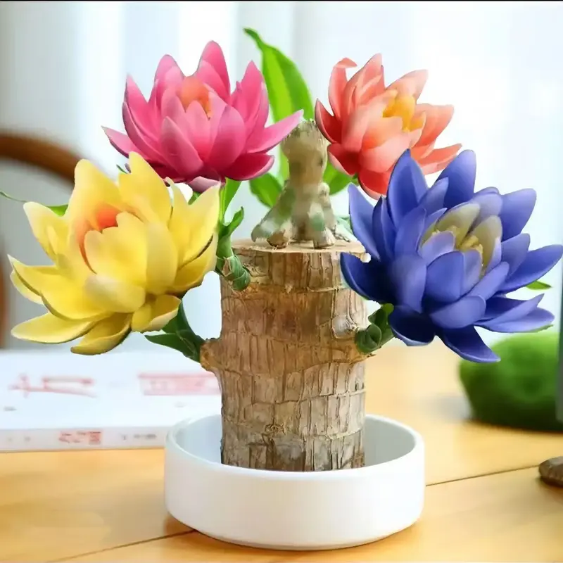 Brazilian Lucky tree,with base and mystery doll decorations, easy to plant in the home office to attracts wealth and wealth,l...