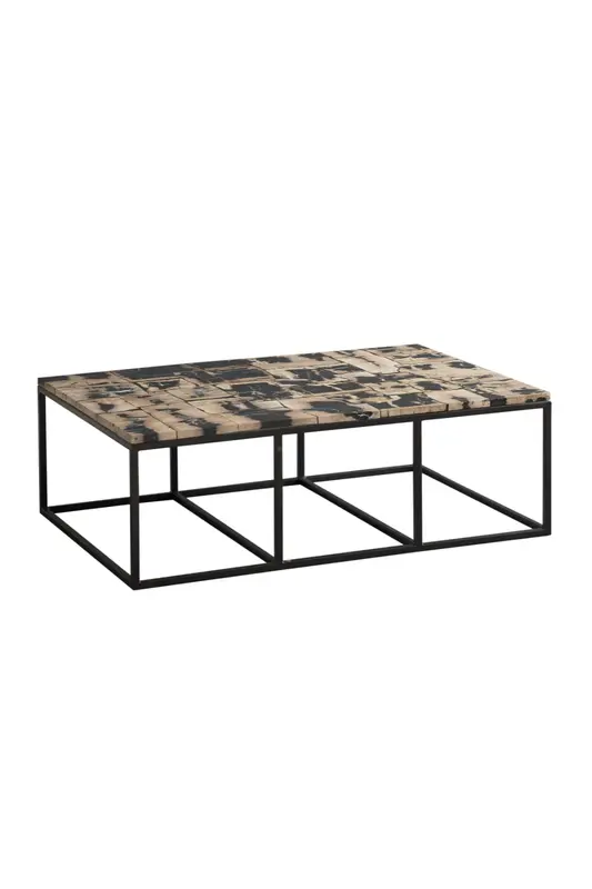 Rectangular Petrified Wood Coffee Table | Andrew Martin Luca
