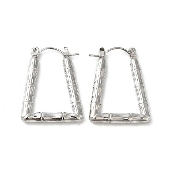 Non-Tarnish 304 Stainless Hoop Earrings for Women