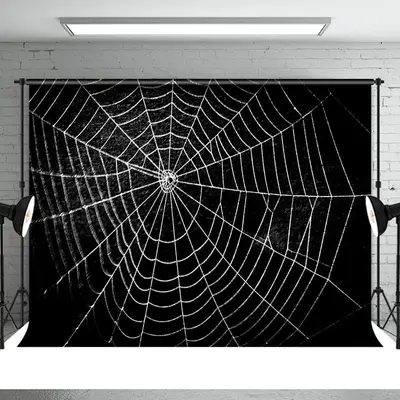 All Black Spider Net Horrible Happy Halloween Backdrop - Aperturee