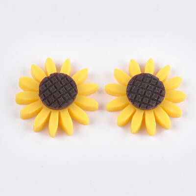 Resin Cabochons
