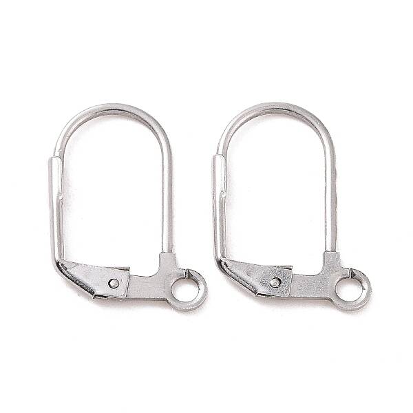 Tarnish Resistant Original Color Stainless Steel Leverback Earring Findings