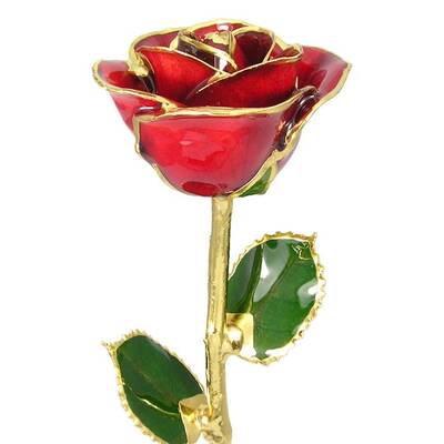 Long Stem 24k Gold Rose: 17 Red Rose