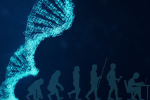 Biology - Evolution Natural Selection and DNA