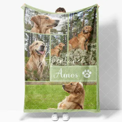 Aperturee Natural Green Custom Stitch Photos Name Pet Blanket, 30x40in(76x102cm), 26 USD, pet blankets, YZBD0O61-S