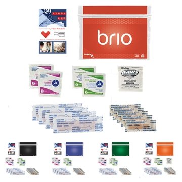 250 Promotional Personal First Aid Safety and Wellness Kit - ...
