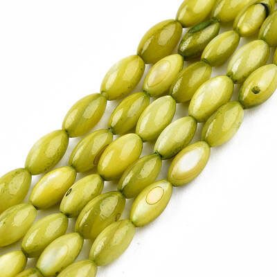 Natural Freshwater Shell Beads Strands
