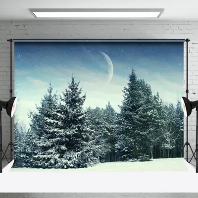 Aperturee Dim Cold Evening Snow Forest Moon Winter Backdrop