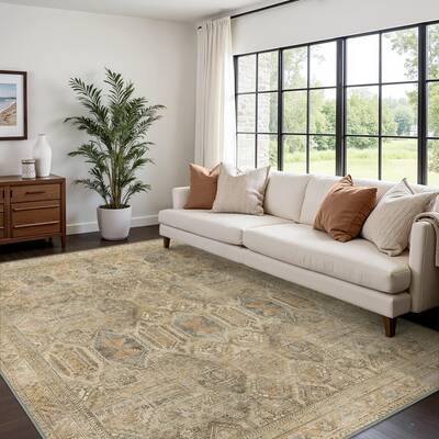 GENIMO Area Rugs, Ultra-Thin Foldable Low Pile Machine Washable Rug, Lightweight Machine Washable Rugs for Living Room B