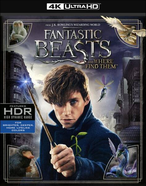 Fantastic Beasts and Where to Find Them