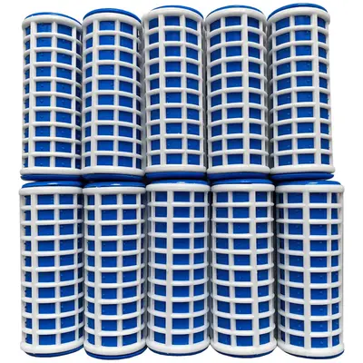 DeniCarte Large Thermal Curlers 10 pieces