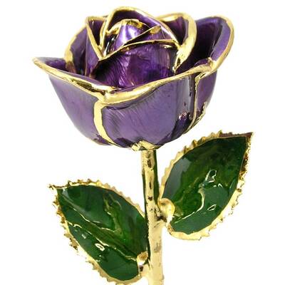 24k Gold Trimmed Rose: 11 Purple Rose
