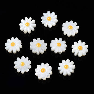 Natural Freshwater Shell Beads