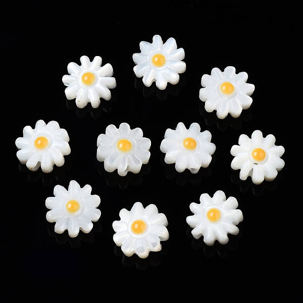 Natural Freshwater Shell Beads
