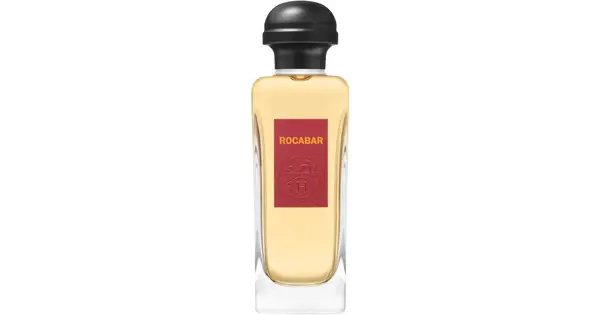Hermès Rocabar Eau De Toilette For Men 100 Ml