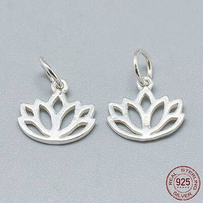 925 Sterling Silver Charms
