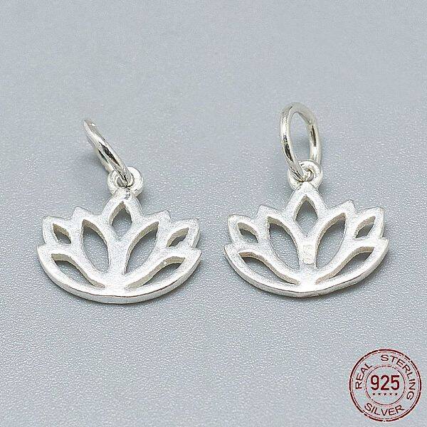 925 Sterling Silver Charms