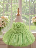 Toddler Girl's Glitter Ruffle Trim Tulle Party Dress, Cute Flower Decor Sleeveless Sweater Dress for Birthday Wedding Formal ...