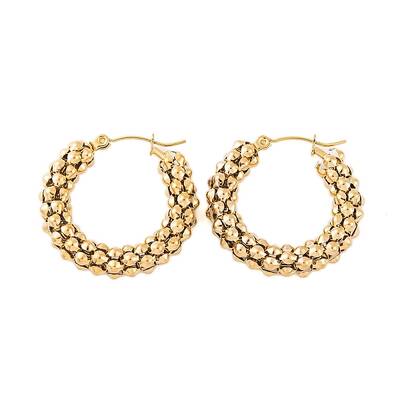 Ion Plating(IP) 304 Stainless Steel Hoop Earrings for Women