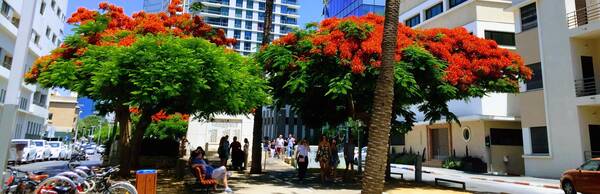 The Trail of Independence: Tracing the origins of modern Tel Aviv