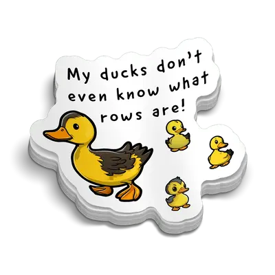 Ducks Hard Hat Decal