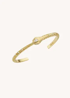 Bangle Br-320g Gold | Color: GOLD | Size: U
