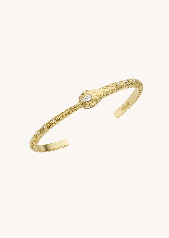 Bangle Br-320g Gold | Color: GOLD | Size: U