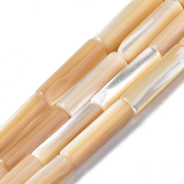 Natural Trochid Shell/Trochus Shell Beads Strands