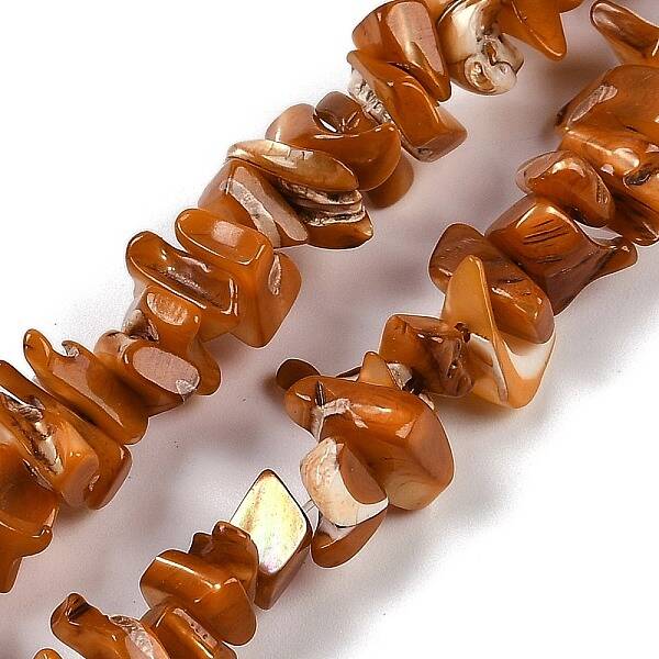 Natural Shell Beads Strands
