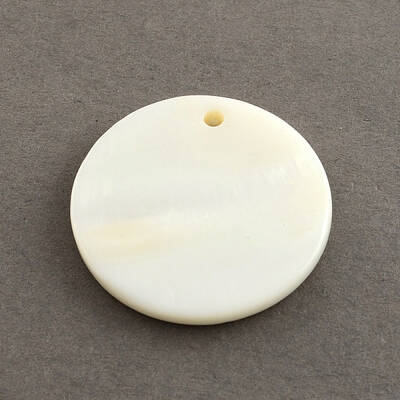 Flat Round Sea Shell Charms