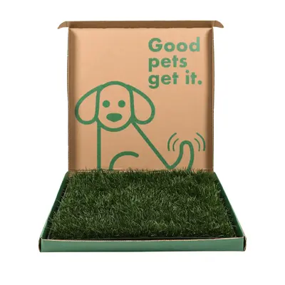Fresh Patch Large Combo Pack Real Grass & Tray for Pets Up to 30 lbs Eco-Friendly Indoor Potty Training System