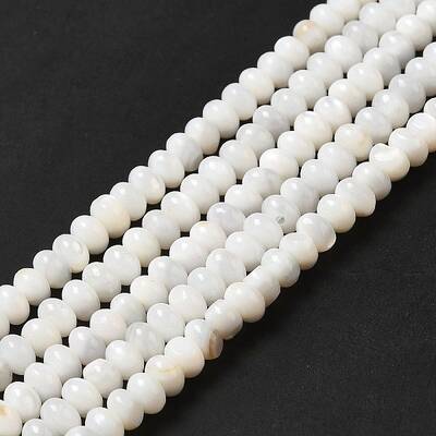 Natural Freshwater Shell Beads Strands