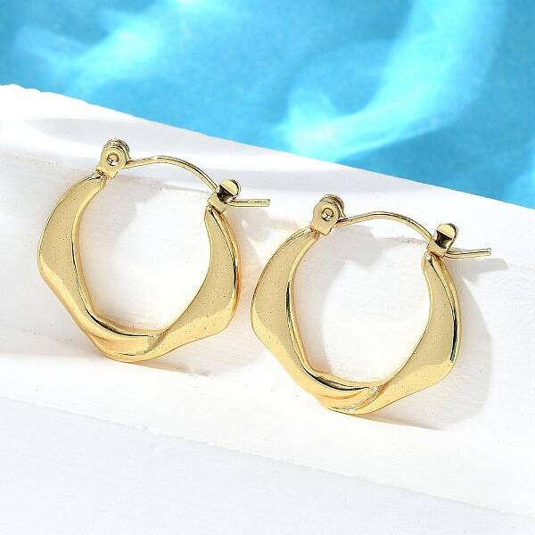 304 Stainless Steel Hoop Earrings for Women