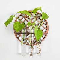 Modern Round Hollow Out Wooden Plant Holder without Plant, 3 in 1 Wall Mounted Glass Container, Wall Decor Indoor Hydroponic ...