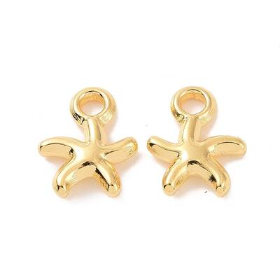 Ion Plating(IP) 304 Stainless Steel Charms