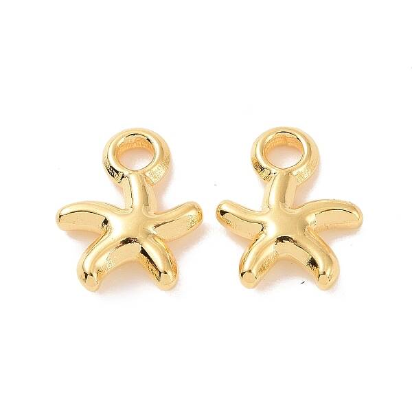 Ion Plating(IP) 304 Stainless Steel Charms